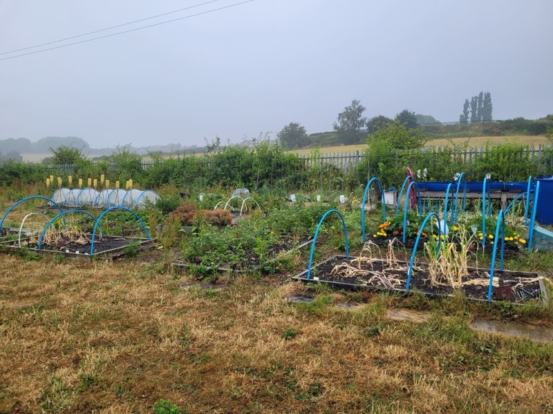 Other image for Barnsley’s best garden: How digging deep has been group’s only option